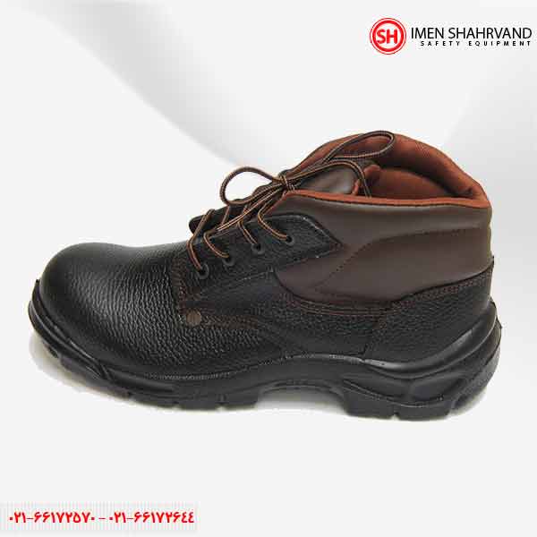 Safety-shoes-Farzin-Kaveh-model